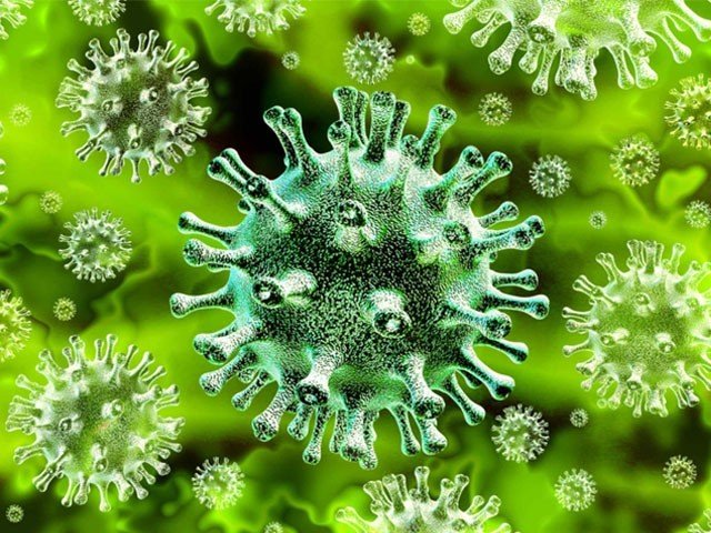 کورونا جیسے ہزاروں وائرس انسانوں میں منتقل ہونے کو تیار!
