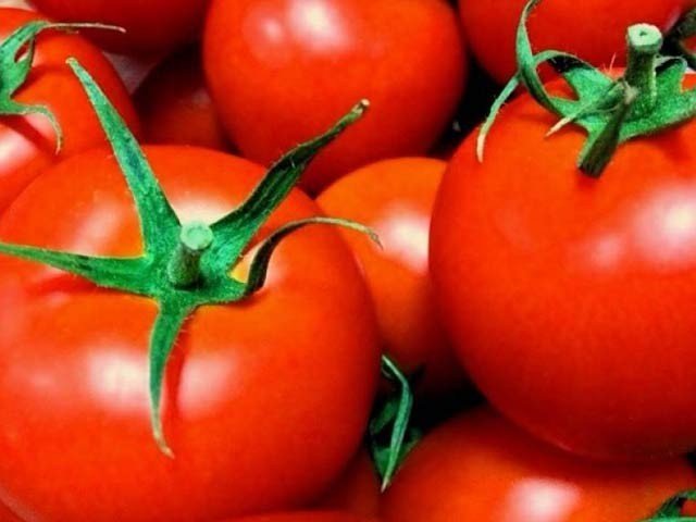 دنیا کے پہلے جینیاتی تبدیل شدہ ٹماٹر کی فروخت شروع