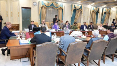 مشترکہ مفادات کونسل نے کینال منصوبہ مسترد کردیا