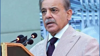یہ وہ پاکستان نہیں جس کیلیے قربانیاں دی گئیں، میرٹ کو اپناکر اس ملک کو عظیم بنائیں گے، وزیراعظم