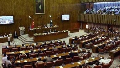 سیاسی بیان بازی : پیپلز پارٹی کا سینیٹ اور قومی اسمبلی سے واک آؤٹ، ن لیگی قیادت سے معافی کا مطالبہ